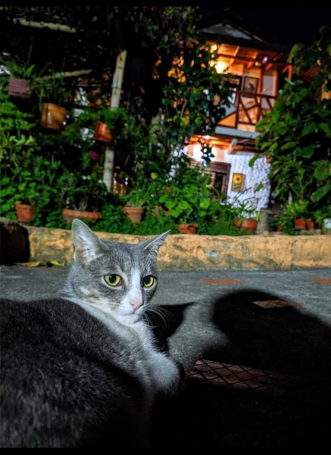 Hospedaje El Jardin San Agustín Екстериор снимка